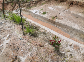 1675913146141085.png image.png