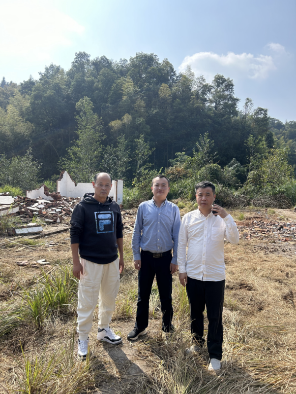 1734941114949551.jpg 1734941079211.jpg